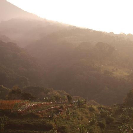 Pondok Kebun Gunung Bedugul  Exteriör bild